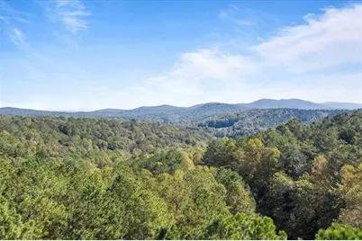 0 Trout Line Court, Talking Rock, GA 30175 - Photo 47