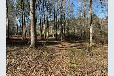 198 Sweetwater Trail, Villa Rica, GA 30180 - Photo 9