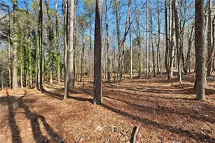 100 Old Hickory Ln, Powder Springs, GA 30127 - Photo 57