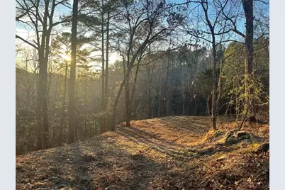 331 Paladin Drive NE, Ranger, GA 30734 - Photo 1