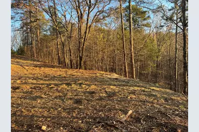 331 Paladin Drive NE, Ranger, GA 30734 - Photo 5