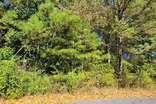 0 Scarlett Ln, Rome, GA 30161 - Photo 13