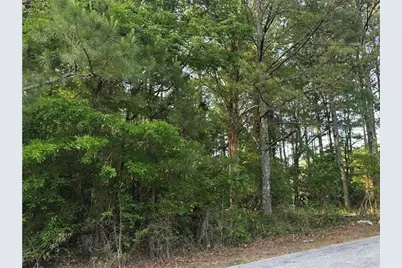 0 Scarlett Lane, Rome, GA 30161 - Photo 5