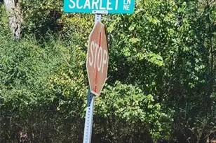 0 Scarlett Ln, Rome, GA 30161 - Photo 9