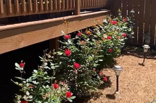 2302 English Ivy Ct SE, Atlanta, GA 30339 - Photo 37