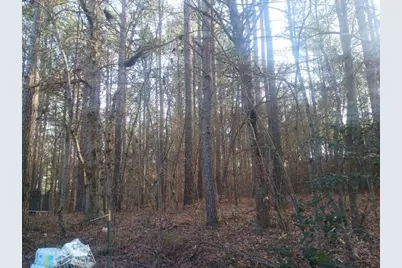 346 Clayton Chester Road, Dawsonville, GA 30534 - Photo 15