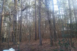 346 Clayton Chester Rd, Dawsonville, GA 30534 - Photo 15