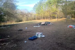 346 Clayton Chester Rd, Dawsonville, GA 30534 - Photo 17