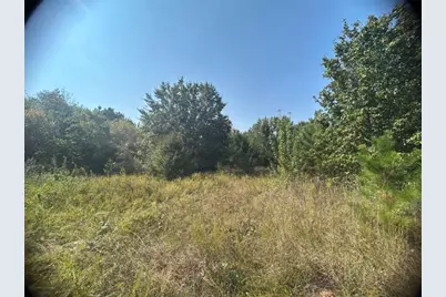 0 Blanche Road, Cedartown, GA 30125 - Photo 1