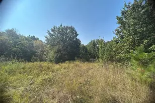 0 Blanche Rd, Cedartown, GA 30125 - Photo 1