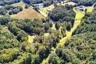 894 Upper Woolsey Rd, Hampton, GA 30228 - Photo 69