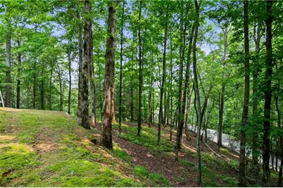 100 Oboe Court, Ellijay, GA 30540 - Photo 35