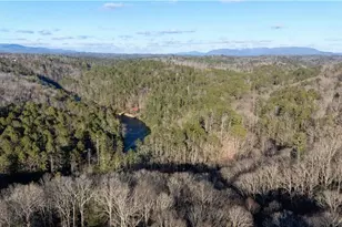 100 Oboe Ct, Ellijay, GA 30540 - Photo 47