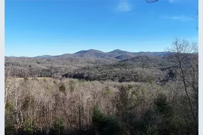 731 Native Trail, Blue Ridge, GA 30513 - Photo 59