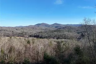 731 Native Trail, Blue Ridge, GA 30513 - Photo 59