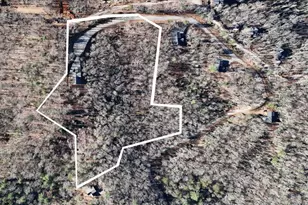 731 Native Trail, Blue Ridge, GA 30513 - Photo 5