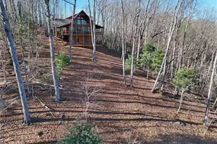 731 Native Trail, Blue Ridge, GA 30513 - Photo 69