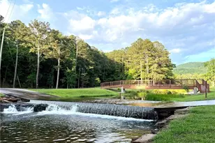 223 Denny Ridge Rd, Jasper, GA 30143 - Photo 53