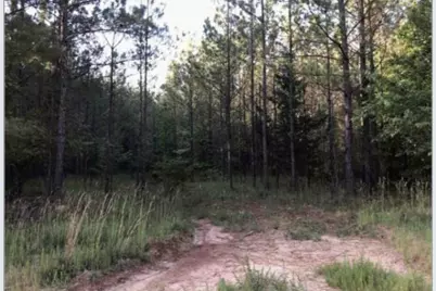 0 Lower Mill Road, Crawfordville, GA 30631 - Photo 1