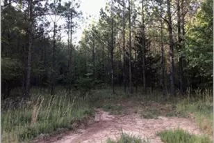 0 Lower Mill Rd, Crawfordville, GA 30631 - Photo 1