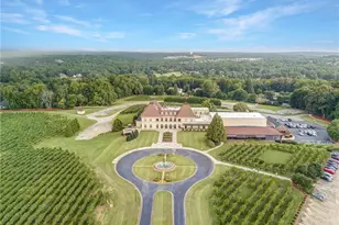 125 Scarlett Pippin Dr, Clarkesville, GA 30523 - Photo 45