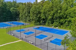 8620 Standing Stone, Ball Ground, GA 30107 - Photo 65