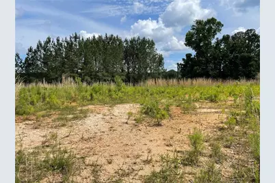 307 Timberview Trail, Alpharetta, GA 30004 - Photo 7