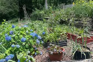 95 Holly Ln, Dahlonega, GA 30533 - Photo 41