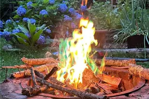 95 Holly Ln, Dahlonega, GA 30533 - Photo 43