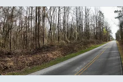 0 Swan Bridge Road, Talking Rock, GA 30175 - Photo 3