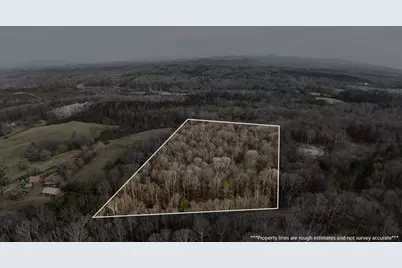 0 Swan Bridge Road, Talking Rock, GA 30175 - Photo 11