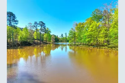 377 Lakeview Drive, Newborn, GA 30056 - Photo 51