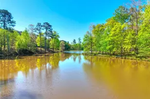 377 Lakeview Dr, Newborn, GA 30056 - Photo 51