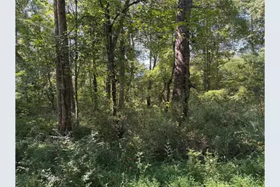 6485 Forsyth Drive, Cumming, GA 30028 - Photo 17