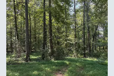 6485 Forsyth Drive, Cumming, GA 30028 - Photo 13