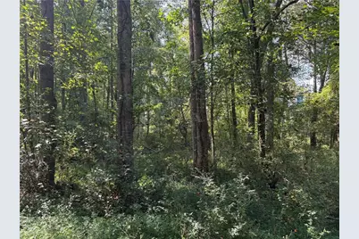 6485 Forsyth Drive, Cumming, GA 30028 - Photo 23