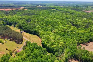 414 Parker Branch Rd, Barnesville, GA 30204 - Photo 79