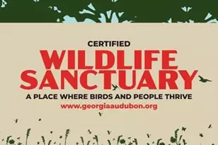 2179 William Wy, Atlanta, GA 30345 - Photo 13