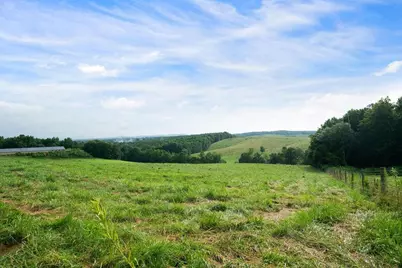 339 Cavender Lane, Bowdon, GA 30108 - Photo 15