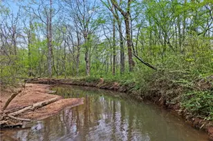 135 Creekview Dr, Newnan, GA 30263 - Photo 35