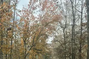 7448 Berea Rd, Winston, GA 30187 - Photo 5