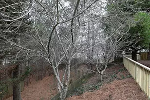 3219 Juniper Dr NW, Kennesaw, GA 30144 - Photo 39