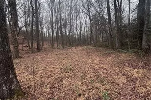 0 Porter Rd, Maysville, GA 30558 - Photo 1