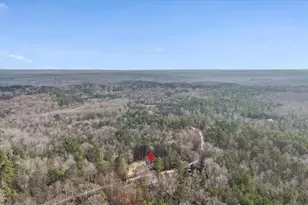 1475 Ben Davis Rd, Buchanan, GA 30113 - Photo 59