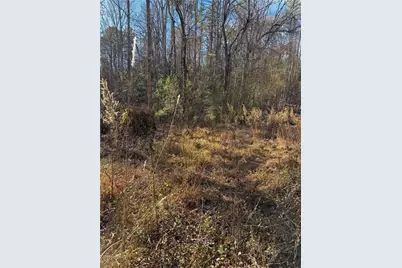 0 Highway 19 N N, Dahlonega, GA 30533 - Photo 3