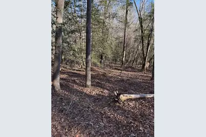 0 Highway 19 N N, Dahlonega, GA 30533 - Photo 11