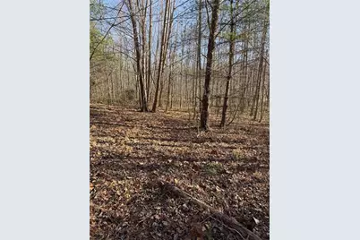 0 Highway 19 N N, Dahlonega, GA 30533 - Photo 13