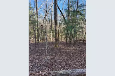 0 Highway 19 N N, Dahlonega, GA 30533 - Photo 9