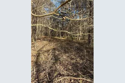 0 Highway 19 N N, Dahlonega, GA 30533 - Photo 15