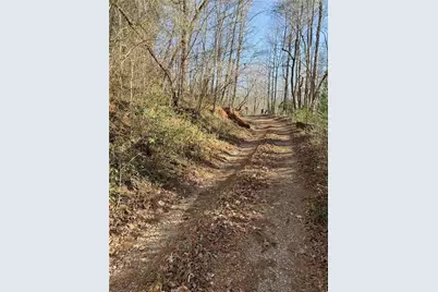 0 Highway 19 N N, Dahlonega, GA 30533 - Photo 5